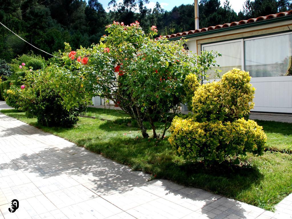 Quinta Dos Barbas Pensionat Oliveira do Hospital Exteriör bild