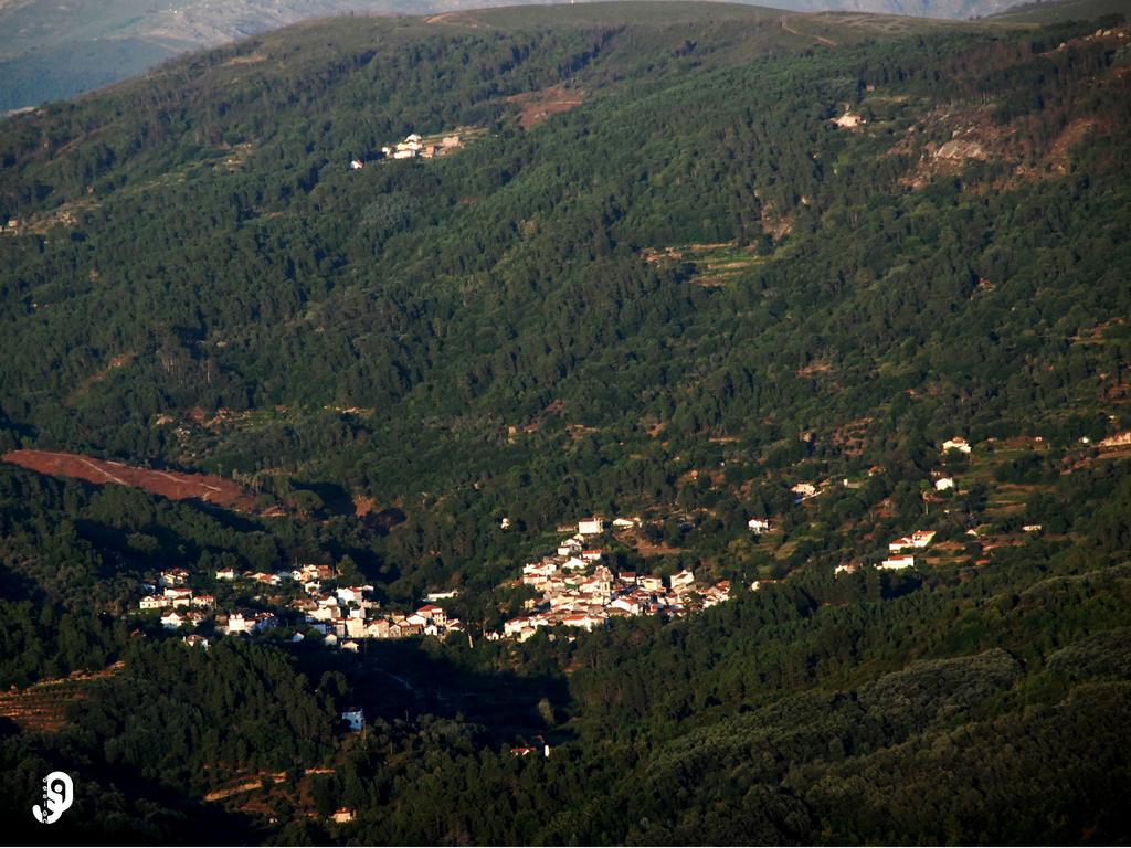 Quinta Dos Barbas Pensionat Oliveira do Hospital Exteriör bild